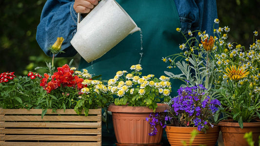 "Petals & Pots: Decorating Your Home with Greenery"