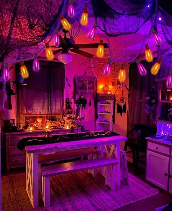 10Ft LED Outdoor String Lights, Halloween Orange Purple Lights with 10 0.6W ST40 LED Bulbs, Waterproof Connectable Patio Lights for Indoor Outdoor Backyard Garden Halloween Christmas Holiday Decor-BloomoryGarden
