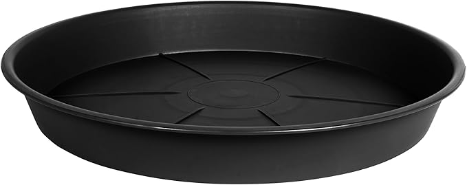 1 Pack of Plant Saucer Tray 8 inch, Heavy Duty Plastic Pot Plant Drip Trays Saucers for for Indoors Outdoor, Plant Water Tray for Planters (8", Black)-BloomoryGarden