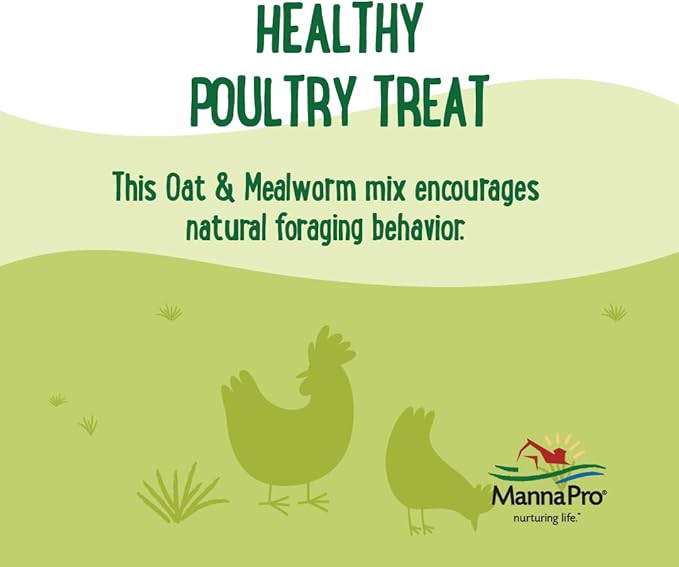 Manna Pro Farmhouse Favorites Oat & Mealworm Mix Poultry Treat – Natural Protein Source – Encouraging Poultry Treat – Mix of Oats, Peanuts, Raisins, Mealworms, Sunflower Kernels – 2lbs-BloomoryGarden