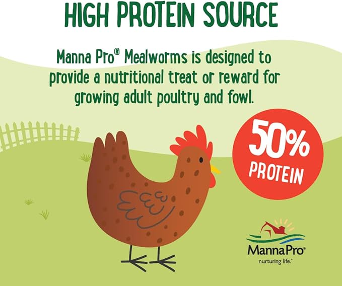 Manna Pro Farmhouse Favorites Mealworms Poultry Treat - Protein Treat for Chicken - Poultry, Turkey, Ducks, Geese, and Guinea Fowl Treat - Contains 50% Protein - 100% Natural Poultry Snack - 2lbs-BloomoryGarden