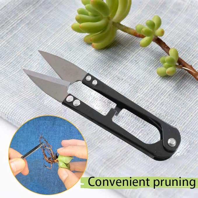 12 Pcs Succulent Tools Set Mini Transplanting Garden Tools Kit for Indoor Gardening Flower Pot Cactus Care-BloomoryGarden