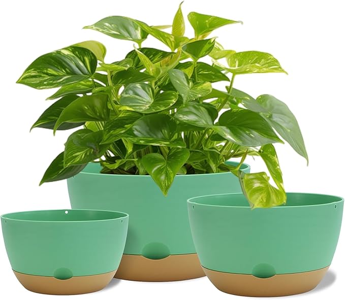 12 Inch Pots for Indoor Plants, Large Self Watering Planters with Drainage and Saucers, Plastic Outdoor Flower Pot, Set of 2, Green-BloomoryGarden