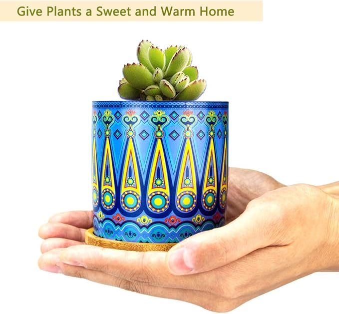 Mandala Succulent Pot with Drainage Hole & Bamboo Coaster, Small Plant Pots, Bohemian Ceramic Succulent Planter Pot for Small Plant-6 Pack-BloomoryGarden