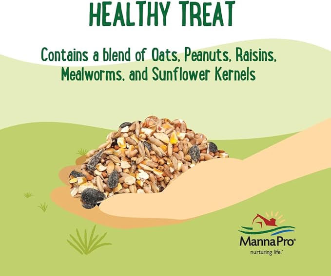 Manna Pro Farmhouse Favorites Oat & Mealworm Mix Poultry Treat – Natural Protein Source – Encouraging Poultry Treat – Mix of Oats, Peanuts, Raisins, Mealworms, Sunflower Kernels – 2lbs-BloomoryGarden