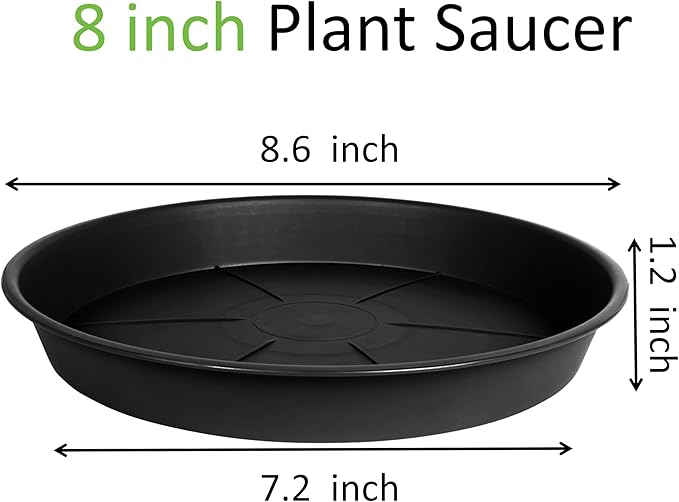 1 Pack of Plant Saucer Tray 8 inch, Heavy Duty Plastic Pot Plant Drip Trays Saucers for for Indoors Outdoor, Plant Water Tray for Planters (8", Black)-BloomoryGarden