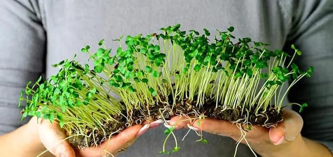 100% Natural Organic Microgreens Premium Potting Mix by Gardenera: Ideal Balance of Air, Moisture, and Nutrients - 2 Quart-BloomoryGarden
