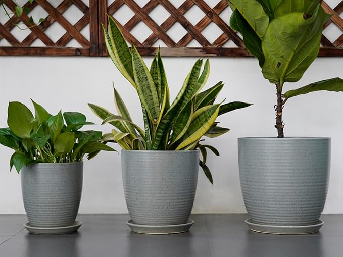12 Inch Plant Pot, Ceramic Planter Pot with Drainage Hole and Saucer Round Large Flower Pot for Indoor Plants, Light Gray-BloomoryGarden