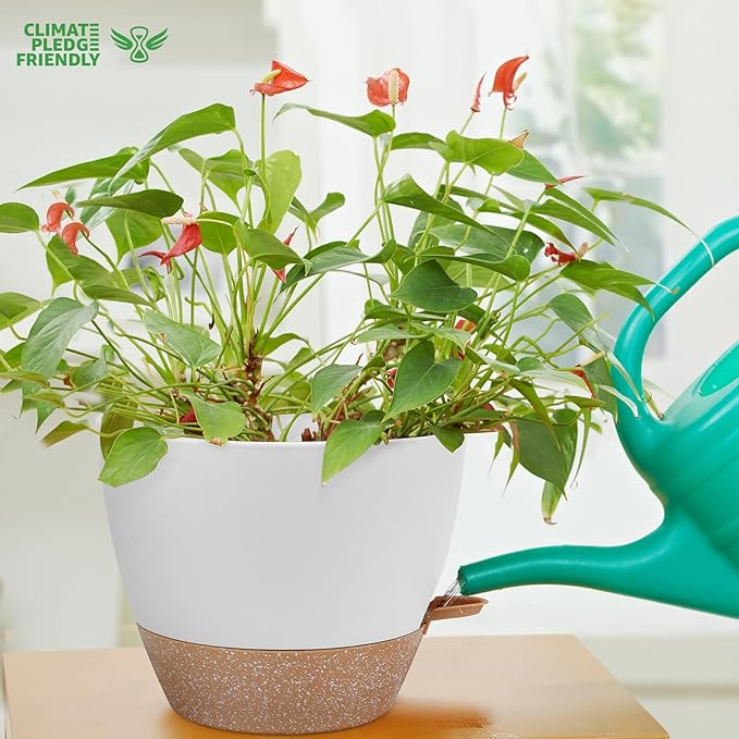 12 Inch Large Self Watering Plant Pot Set, Flower Pots with Multi-Mesh Drainage Holes and Saucer, Suitable for Indoor and Outdoor Garden Plants, White.-BloomoryGarden