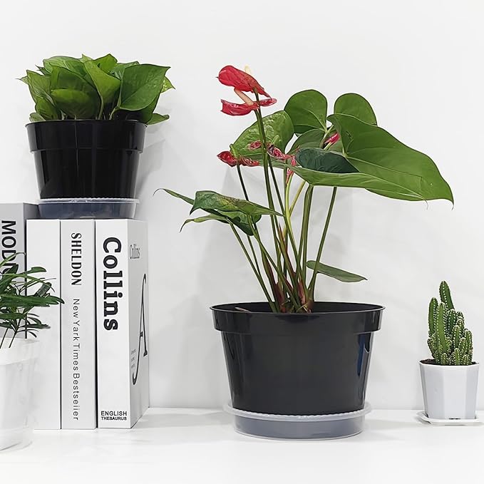12 Pack Plant Pots, 8 Inch Plant Planter with Clear Saucer, Plastic Pots for Plants Indoor and Out Door Such as Strawberry, Herb and Flowers (Black)-BloomoryGarden