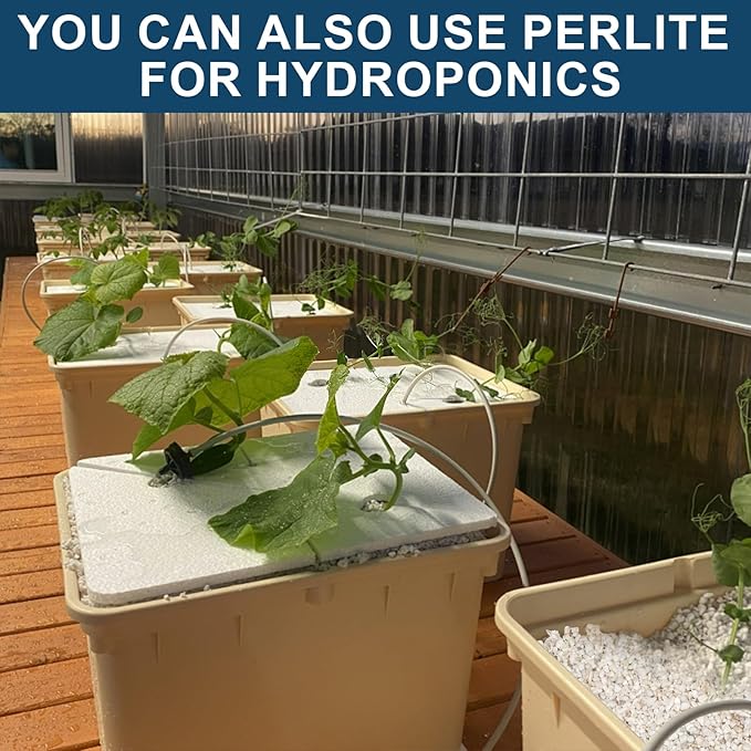 Horticultural Perlite for Plants 4qt, Chunky Perlite Bulk for Gardening, Soil Amendments to Improve Soil Aeration & Dranage for Houseplant