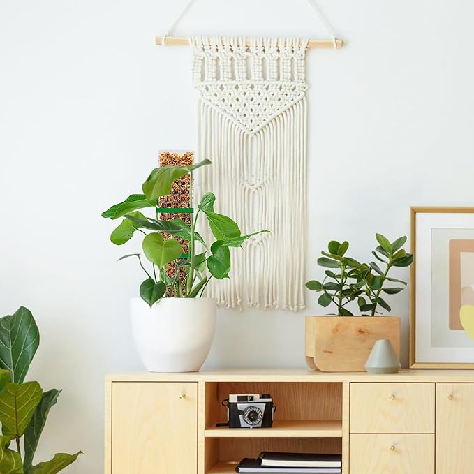 15 Inch 8 Pcs Plastic Moss Pole for Plants Monstera, 8×15'' Plant Poles for Climbing Plants, Plant Support for Indoor Plants Work with Sphagnum Moss, Clear-BloomoryGarden