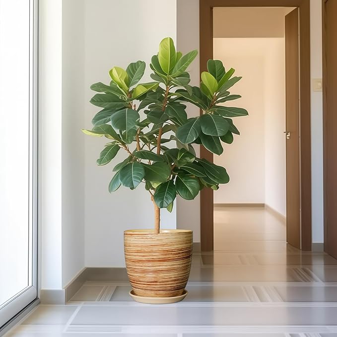 12 Inch Planter Pot Ceramic Plant Pots for Plants with Drainage Hole and Saucer Large Flower Pot for Home Patio Garden Office Yellow-BloomoryGarden