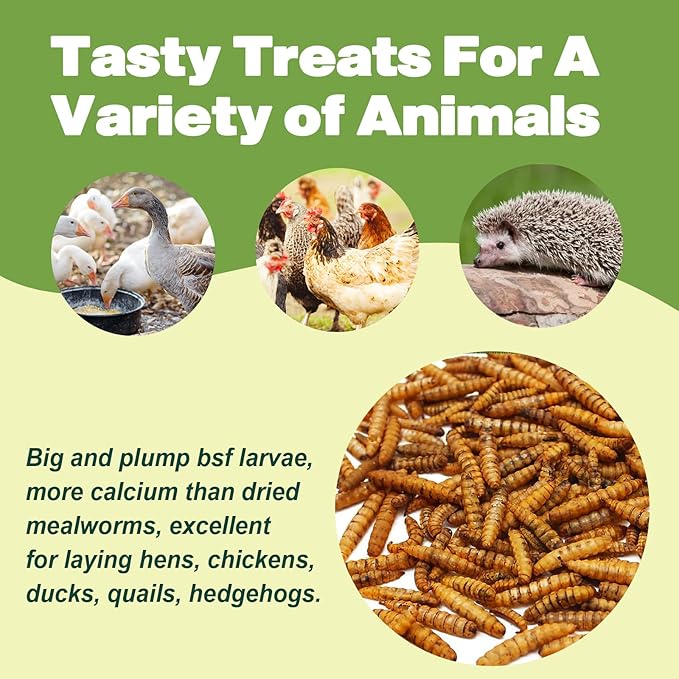 10LB Dried Black Soldier Fly Larvae, 86X Calcium Than Dried Mealworms, High Protein Non-GMO Organic Chicken Feed-BloomoryGarden