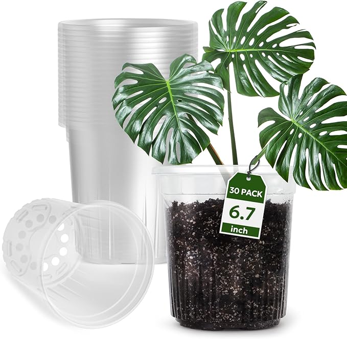 1 Gallon Reinforced Clear Nursery Pots with Drainage Hole, 30 Packs, 6.7 Inch Transparent Pots for Seedlings, Indoor/Outdoor Plants, Veggies, Flowers, and Professional Nursery Use-BloomoryGarden