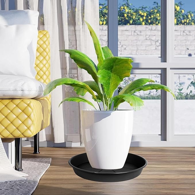 1 Pack of Plant Saucer Tray 8 inch, Heavy Duty Plastic Pot Plant Drip Trays Saucers for for Indoors Outdoor, Plant Water Tray for Planters (8", Black)-BloomoryGarden