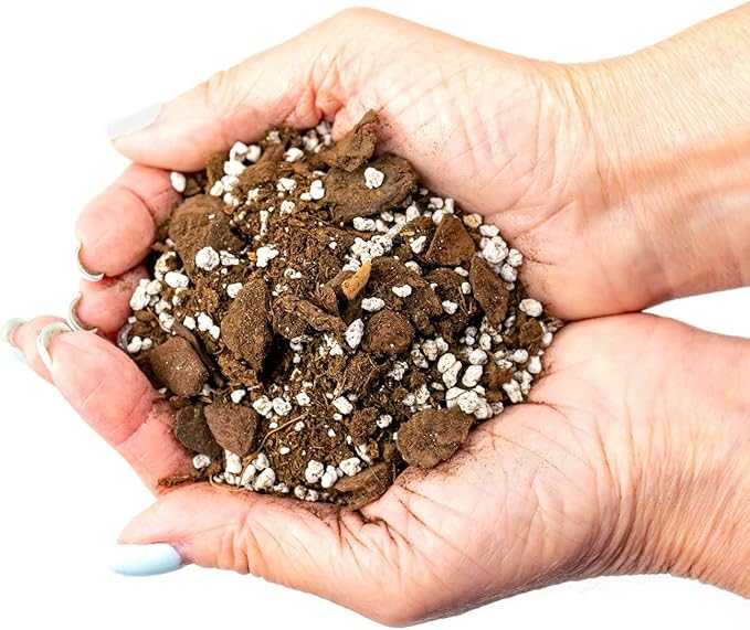 Soil Mixture for Indoor Herb Planters - Specially Blended Soil Mixture for Planting and Growing Indoor Kitchen Herbs Indoors, Indoor Herb Garden, Herb Growing Soil Mixture - 3 Quart Bag-BloomoryGarden