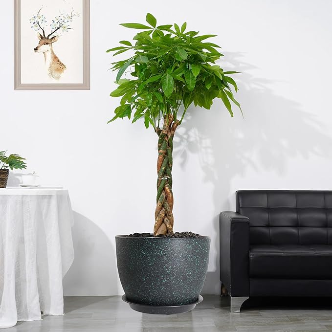 12/10/9 Large Modern Plant Pots, Plastic Planters with Drainage Holes and Saucers for Indoor Outdoor Plants Flowers, Black with Green Speckles-BloomoryGarden