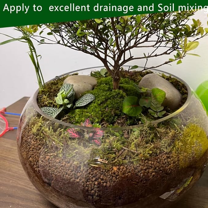 Horticultural Akadama Soil - Cactus Bonsai Succulent Soil Additive for Plants, Landscaping, Vase Fillers (6 LB, 1/4 inch)