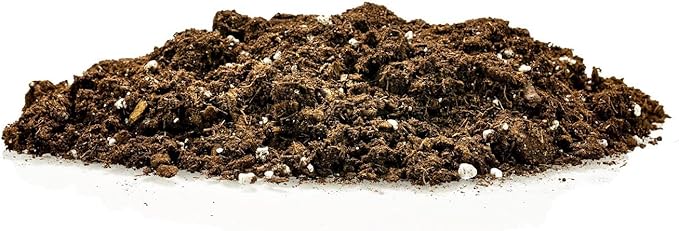 Money Tree Potting Soil, Soil Mix for Planting or Repotting Guiana Chestnut, Soil Blended to Properly Grow Money Tree Plants - (3 Quart Bag)-BloomoryGarden