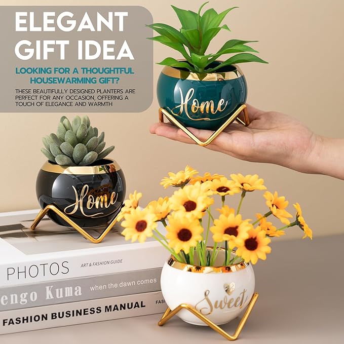 House Warming Gifts New Home, Housewarming Gifts for New House, Best Housewarming Gifts, Home Essentials for New Home Gift Ideas, Living Room Home Decor Farmhouse | 3 Succulent Pots for Plant Lovers