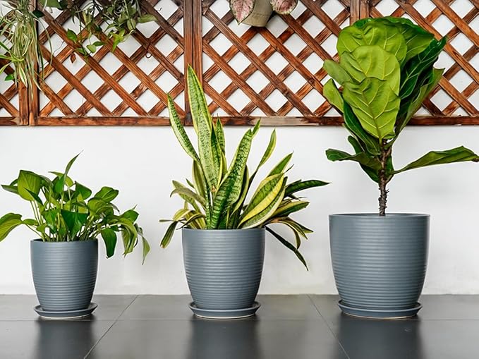 12 Inch Pots for Plants Ceramic Planter Pot Large Flower Pot with Drainage Hole and Saucer for Home Patio Garden Office Indoor Outdoor Gray-BloomoryGarden