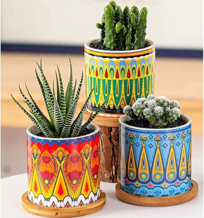 Mandala Succulent Pot with Drainage Hole & Bamboo Coaster, Small Plant Pots, Bohemian Ceramic Succulent Planter Pot for Small Plant-6 Pack-BloomoryGarden