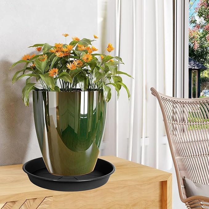 1 Pack of Plant Saucer Tray 8 inch, Heavy Duty Plastic Pot Plant Drip Trays Saucers for for Indoors Outdoor, Plant Water Tray for Planters (8", Black)-BloomoryGarden