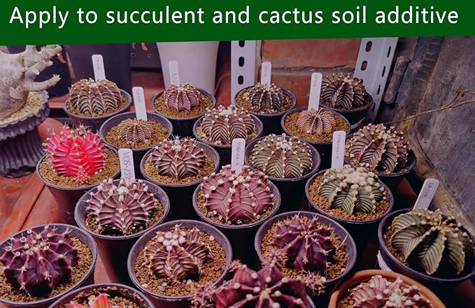 Horticultural Akadama Soil - Cactus Bonsai Succulent Soil Additive for Plants, Landscaping, Vase Fillers (18 LB, 1/8 inch)