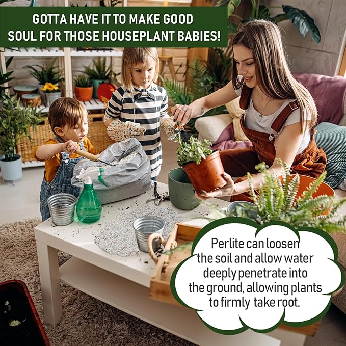 10QT Horticultural Perlite Bulk, Organic Perlite for Plants, Course Perlite for Gardening, for Plants Indoor, for Houseplants, to Promotes Soil Root Growth, and Water Drainage and Plant Growth(3-6mm)-BloomoryGarden