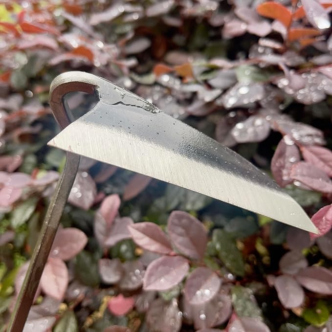 12 Inch Japanese Gardening Hand Weeding Sickle, Weeding Hoe with Long Wooden Handle-BloomoryGarden