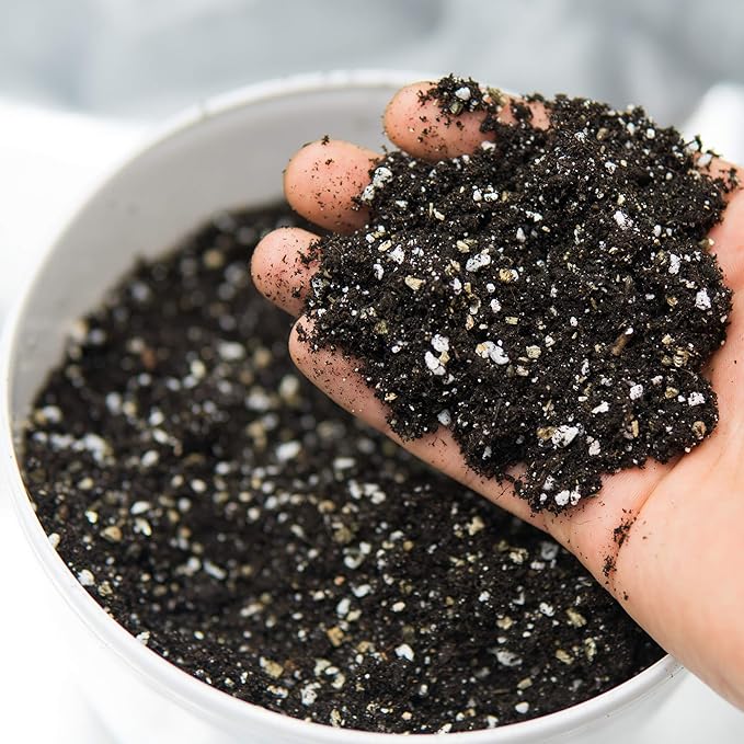 Horticultural Grade Perlite - One 8 Quart Bag ~2 Lbs - Grade 1, Fine Coarseness (~1/8 Inch Particles) - Soil Amendment Additive - for Growth, Aeration & Drainage for Potting Mix