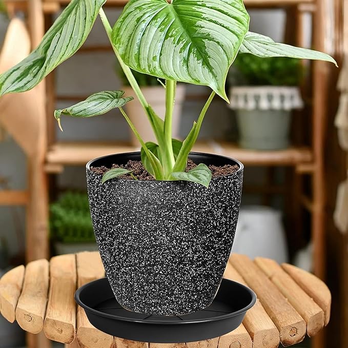 1 Pack of Plant Saucer Tray 8 inch, Heavy Duty Plastic Pot Plant Drip Trays Saucers for for Indoors Outdoor, Plant Water Tray for Planters (8", Black)-BloomoryGarden