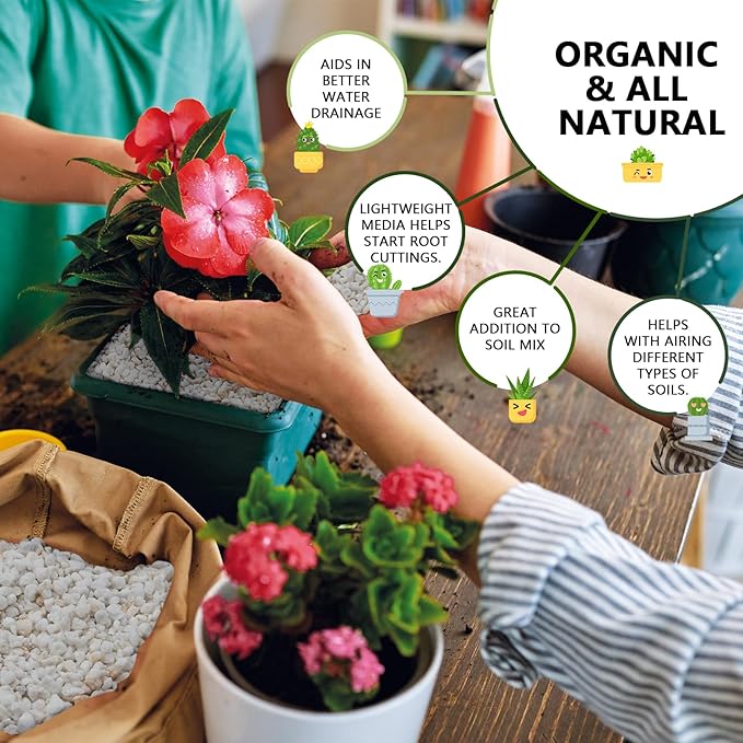 10QT Horticultural Perlite Bulk, Organic Perlite for Plants, Course Perlite for Gardening, for Plants Indoor, for Houseplants, to Promotes Soil Root Growth, and Water Drainage and Plant Growth(3-6mm)-BloomoryGarden