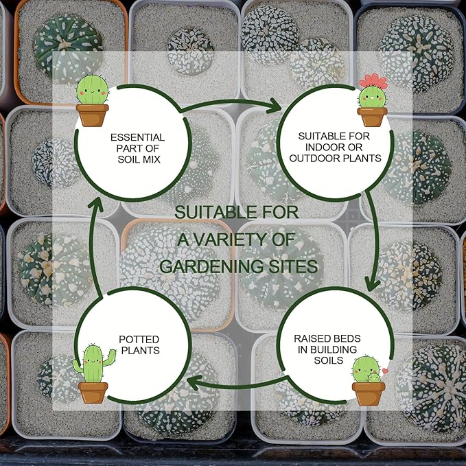 10QT Horticultural Perlite Bulk, Organic Perlite for Plants, Course Perlite for Gardening, for Plants Indoor, for Houseplants, to Promotes Soil Root Growth, and Water Drainage and Plant Growth(3-6mm)-BloomoryGarden