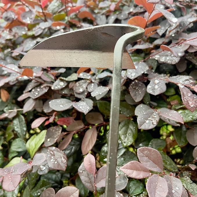 12 Inch Japanese Gardening Hand Weeding Sickle, Weeding Hoe with Long Wooden Handle-BloomoryGarden