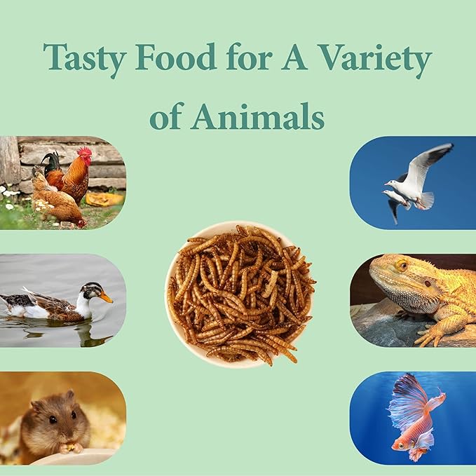 10LB Dried Mealworms, High Protein Meal Worms for Poultry, Wild Birds, Hedgehogs, Hamsters, Reptiles, Great Chicken Food, Bird Food-BloomoryGarden