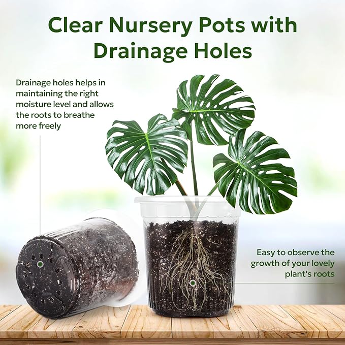 1 Gallon Reinforced Clear Nursery Pots with Drainage Hole, 30 Packs, 6.7 Inch Transparent Pots for Seedlings, Indoor/Outdoor Plants, Veggies, Flowers, and Professional Nursery Use-BloomoryGarden