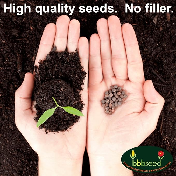 Hummingbird Nectar Wildflower Seeds - 1oz, Open-Pollinated Wildflower Seed Mix Packet, Non-GMO, No Fillers, Annual, Perennial Wildflower Seeds Year Round Planting - 1 oz