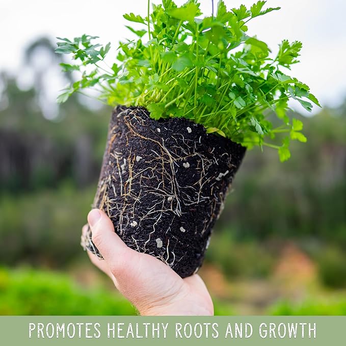 Horticultural Perlite Soil Additive (4 Quarts); for Enhanced Potting Mix Drainage and Growth
