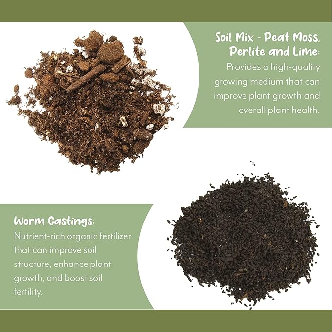 Hoya Plant Potting Soil Mix (4 Quarts), Custom Blend for Growing Hoya Tropical Houseplants