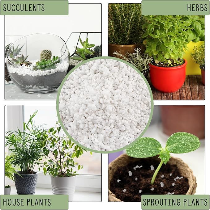 Horticultural Perlite Soil Additive (8 Quarts); for Enhanced Potting Mix Drainage and Growth