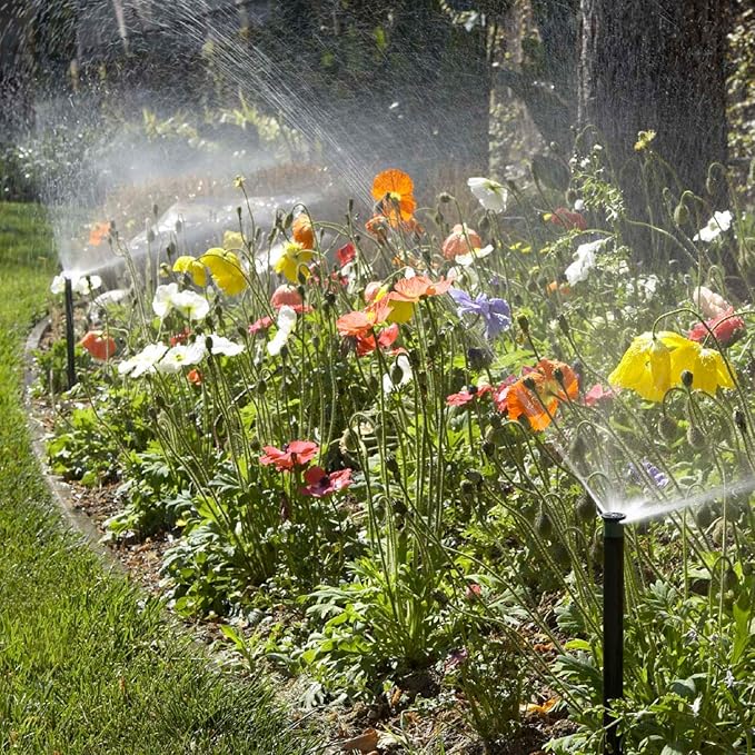 Hunter Sprinkler PROS06 Pro-Spray 6-Inch Pop-Up Sprinkler