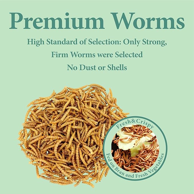 10LB Dried Mealworms, High Protein Meal Worms for Poultry, Wild Birds, Hedgehogs, Hamsters, Reptiles, Great Chicken Food, Bird Food-BloomoryGarden