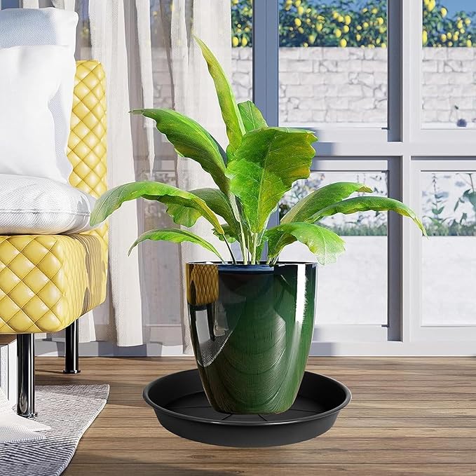 1 Pack of Plant Saucer Tray 8 inch, Heavy Duty Plastic Pot Plant Drip Trays Saucers for for Indoors Outdoor, Plant Water Tray for Planters (8", Black)-BloomoryGarden