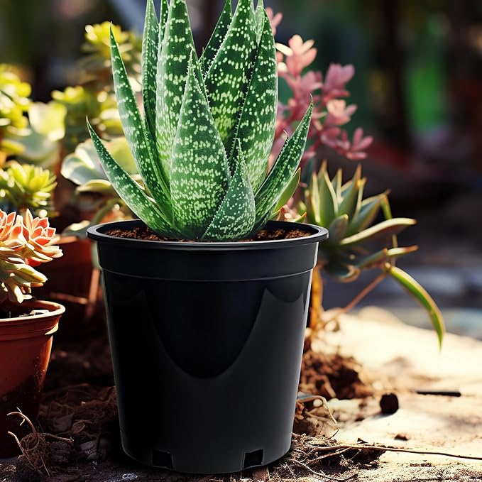 1.5 Gallon Plastic Nursery Pots, 7.5 Inch Round Plant Pots with Drainage Holes, 15 Pack Flower Pots for Outdoor Indoor Plants, Flowers, Black-BloomoryGarden
