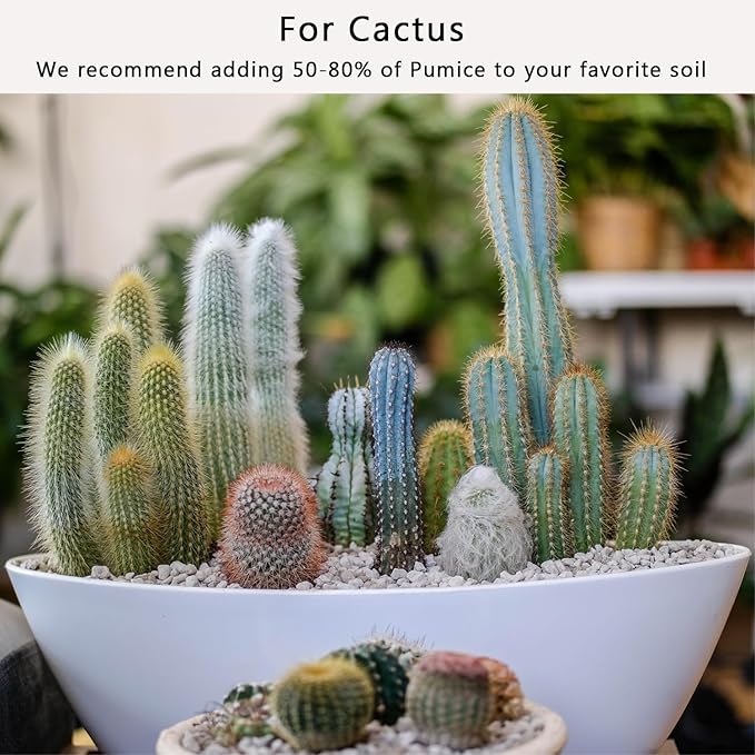Horticultural Pumice for Plants 5QT, Natural Organic Pumice Stones for Succulent Cactus Bonsai Tree Orchid Potting Mixed, Improves Soil Aeration and Drainage, Promotes Root