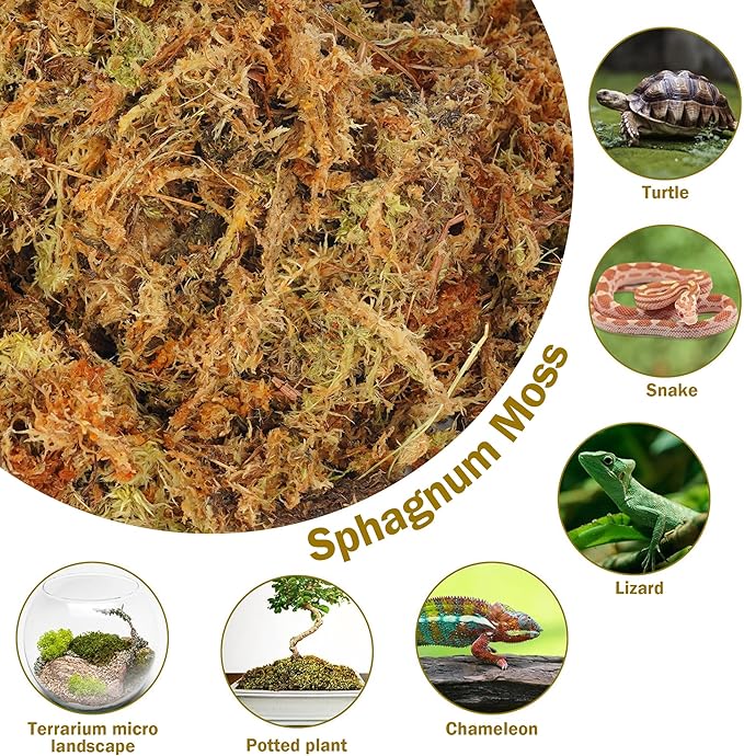 Hourleey 5.3 oz Sphagnum Moss for Plants, Premium Natural Long Fibered Dried Moss Potting, Sphagnum Peat Moss Bulk for Orchids Succulent Carnivorous Potted Plant Reptiles Medium Sarracenia