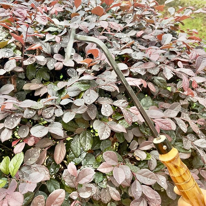 12 Inch Japanese Gardening Hand Weeding Sickle, Weeding Hoe with Long Wooden Handle-BloomoryGarden