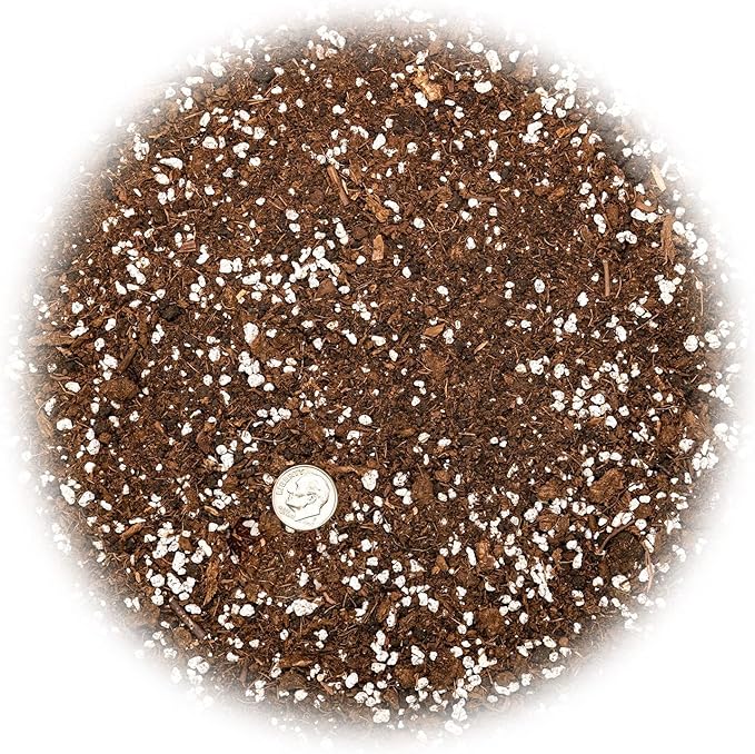 House Plant and Tropical Plant Potting Soil - Re-Potting Soil for All Types of Indoor House Plants - 2 Quart Bag